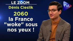 Zoom - Dénis Cieslik : 2060 : dans l’enfer d’une France inclusive, antiraciste, woke au pouvoir !