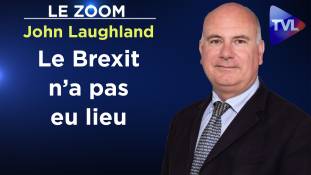 Zoom - John Laughland  : Le Brexit n’a pas eu lieu