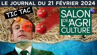 Face aux agriculteurs, Macron en sueur - JT du mercredi 21 février 2024