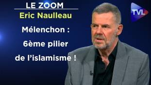 Zoom - Eric Naulleau : Grandeur et déchéance du camarade Mélenchon