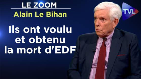 Zoom - Alain Le Bihan : Faillite d'EDF : une trahison bruxello-allemande