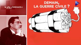 Le Plus d'Eléments - Demain, la guerre civile ? Grande-Bretagne, France, USA…