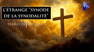 Terres de Mission n°384 : Au cœur de l'étrange "synode de la synodalité"