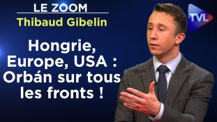 Zoom - Thibaud Gibelin : UE et USA, Viktor Orbán joue et gagne ?