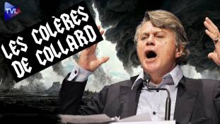 Les colères de Collard - Macron et le terroriste syrien !