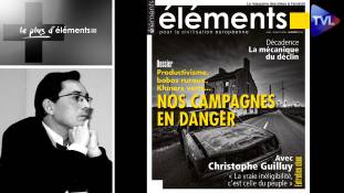 Le Plus d'Eléments - France périphérique contre métropole : le grand divorce français
