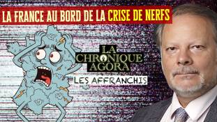 affranchis.jpg Les Affranchis - Philippe Béchade - La France au bord de la crise de nerfs