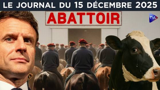 Qui veut la peau des agriculteurs français ? - JT du lundi 15 décembre 2025
