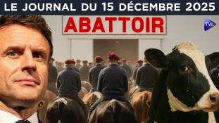 Qui veut la peau des agriculteurs français ? - JT du lundi 15 décembre 2025