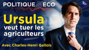 Politique & Eco avec Charles-Henri Gallois - Mercosur, Industrie, Finances : LE MASSACRE