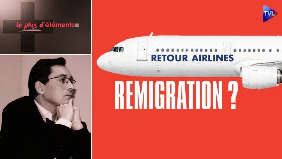 Le Plus d'Eléments - Remigration : l’heure du retour au pays ?