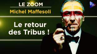 Zoom - Michel Maffesoli : Le monde que nous avons connu disparaît