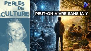 Perles de Culture avec Pierre de La Coste - Peut-on vivre sans IA ?