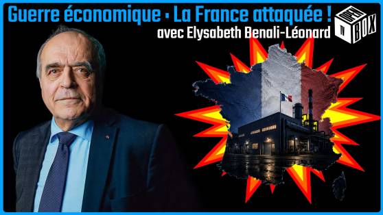 OPEN BOX TV avec Elysabeth Benali-Léonard - Guerre économique : La France attaquée !