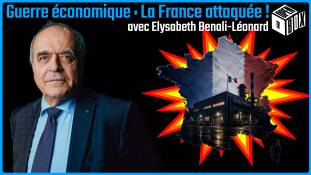 OPEN BOX TV avec Elysabeth Benali-Léonard - Guerre économique : La France attaquée !