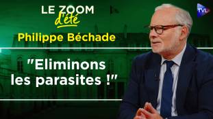 Zoom d'été - Philippe Béchade : Gouvernance corrompue et ingérences étrangères : La France sous tutelle ?