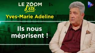Zoom d'été - Yves-Marie Adeline - 2027 : la culture, grande oubliée