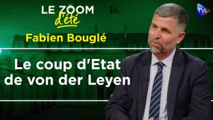 Zoom d'été - Fabien Bouglé : Guerre de l'énergie : Les ennemis de l'intérieur