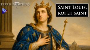 Terres de Mission n°472 - Saint Louis, roi et saint