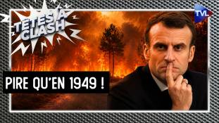 Têtes à Clash - Incendies en Gironde : 115 000 hectares brûlés, l'État a-t-il failli ?